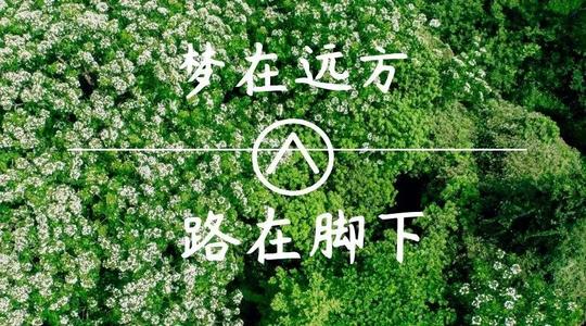 上?？婆d儀器